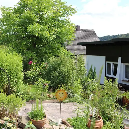 Fernblick *